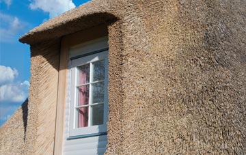 Riccarton thatch roof disadvantages