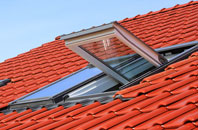 Riccarton roof window